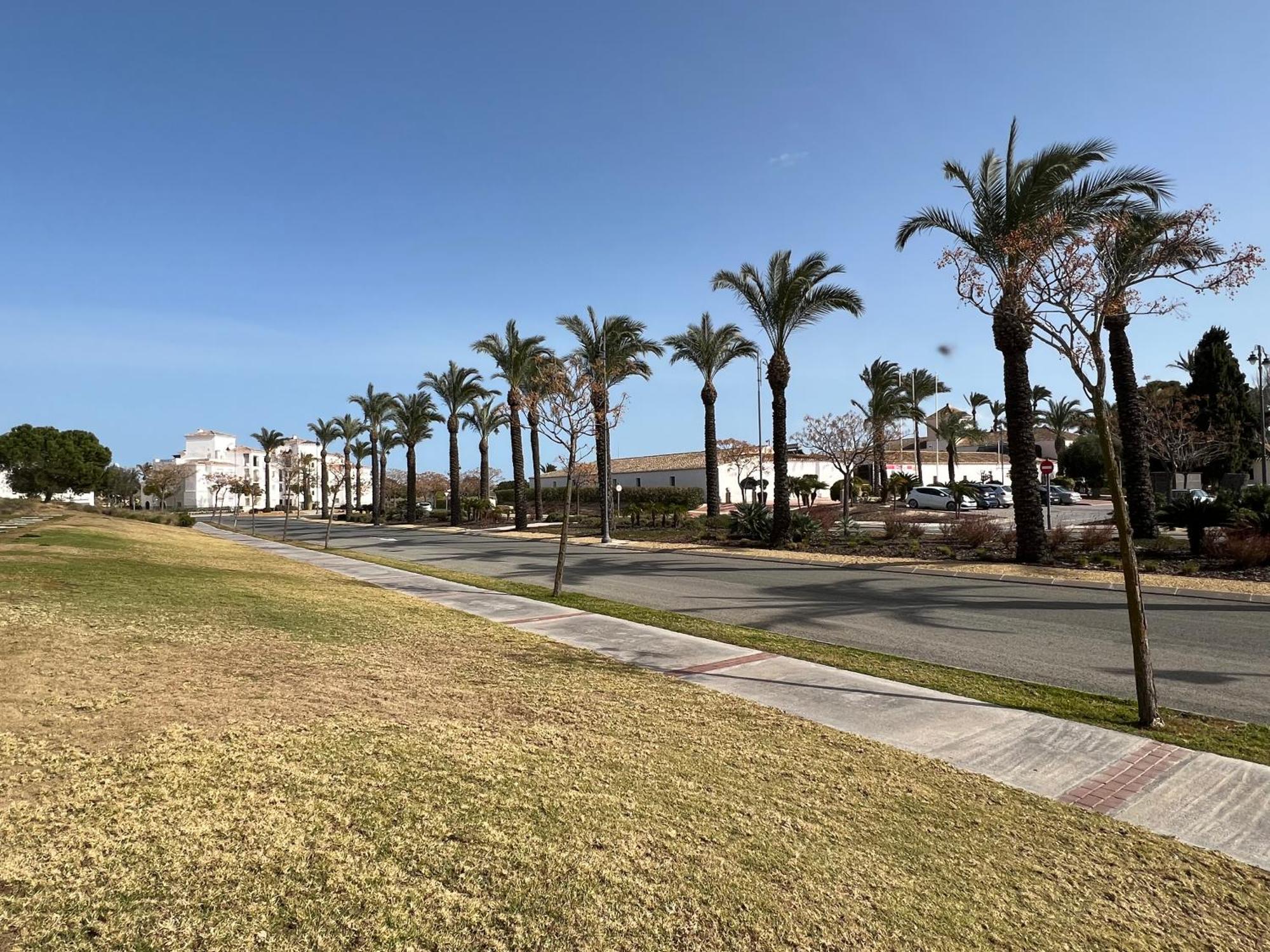 Apartment In Hacienda Riquelme Golf Resort 苏兹纳 外观 照片